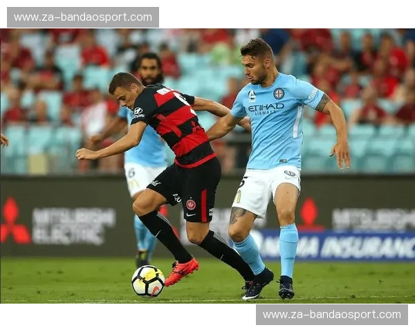 墨胜利vs惠灵顿:新西兰足球版图上的璀璨双星 墨胜利vs惠灵顿:新西兰足球版图上的璀璨双星